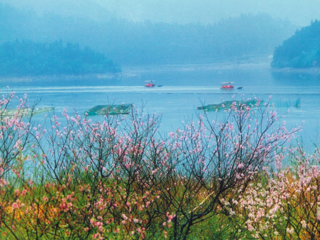 高淳迎湖桃源景区-南京研学旅行